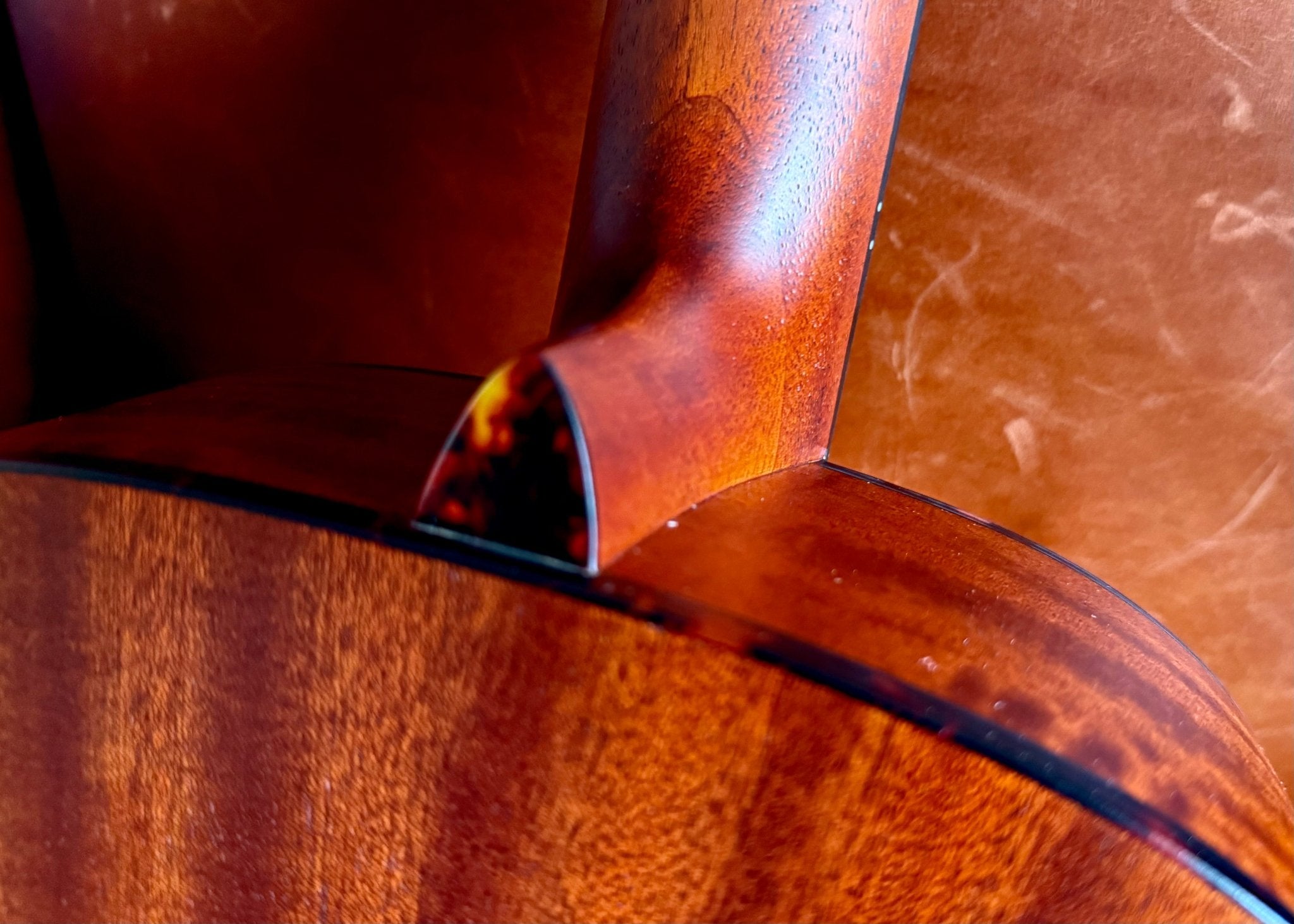 Eastman ACTG - 1 All Solid Acoustic Travel Guitar In Classic Finish - Richards Guitars Of Stratford Upon Avon