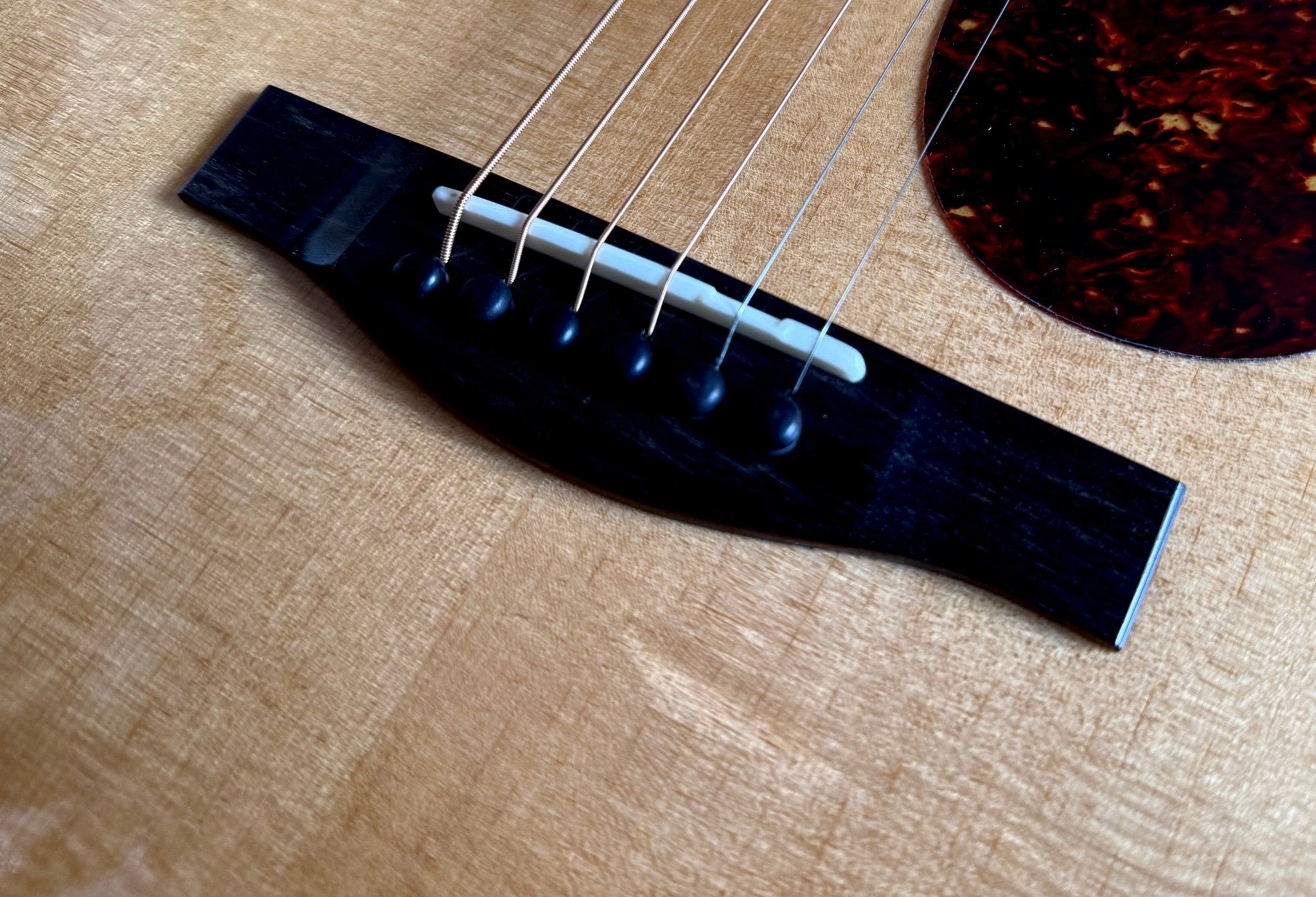 Eastman ACTG-2E DLX (Custom Pro) Travel Guitar - Richards Guitars Of Stratford Upon Avon