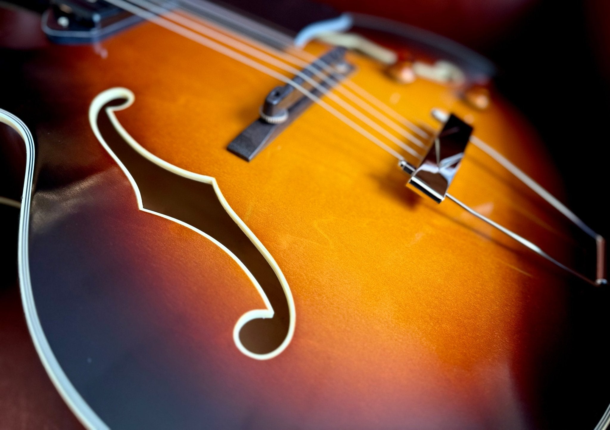 Eastman AR405 P90/TV Archtop Electric Guitar (Custom Pro Exclusive) - Richards Guitars Of Stratford Upon Avon