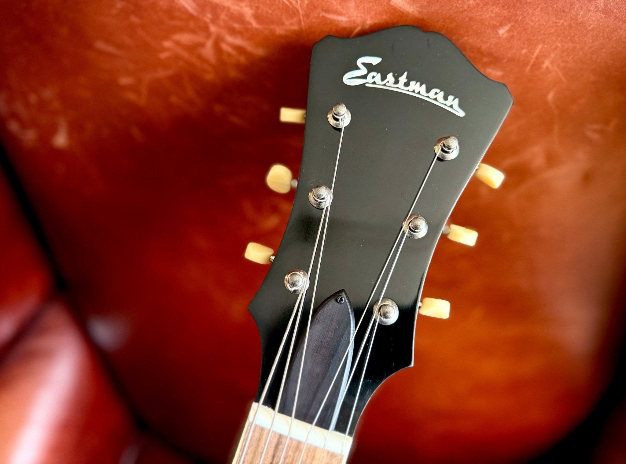 Eastman AR405 P90/TV Archtop Electric Guitar (Custom Pro Exclusive) - Richards Guitars Of Stratford Upon Avon