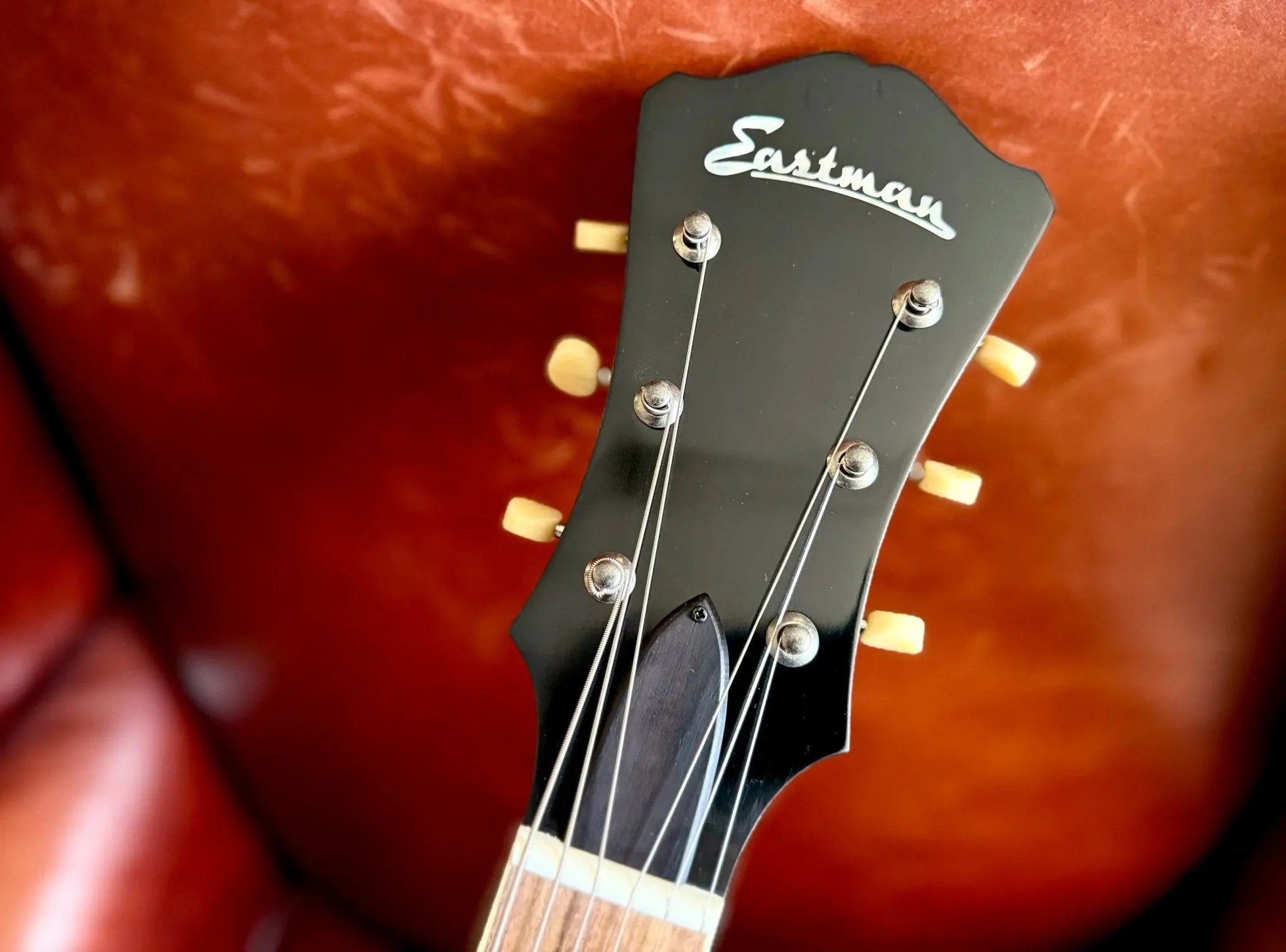Buy Eastman AR405 P90/TV Archtop Electric Guitar (Custom Pro Exclusive)