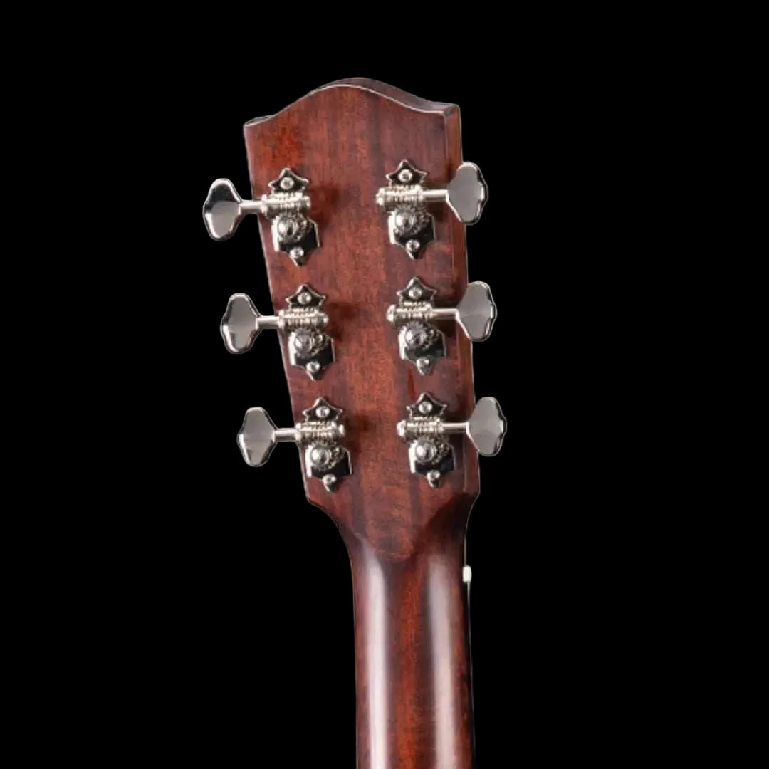 Eastman E20 00 SS TC (Price inc. Custom Pro Setup Package) - Richards Guitars Of Stratford Upon Avon