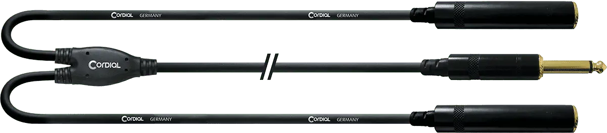 ECL CFY0.3PGG - Richards Guitars Of Stratford Upon Avon