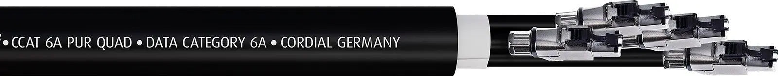 ECL CSE10HH6A - PURQUAD - Richards Guitars Of Stratford Upon Avon