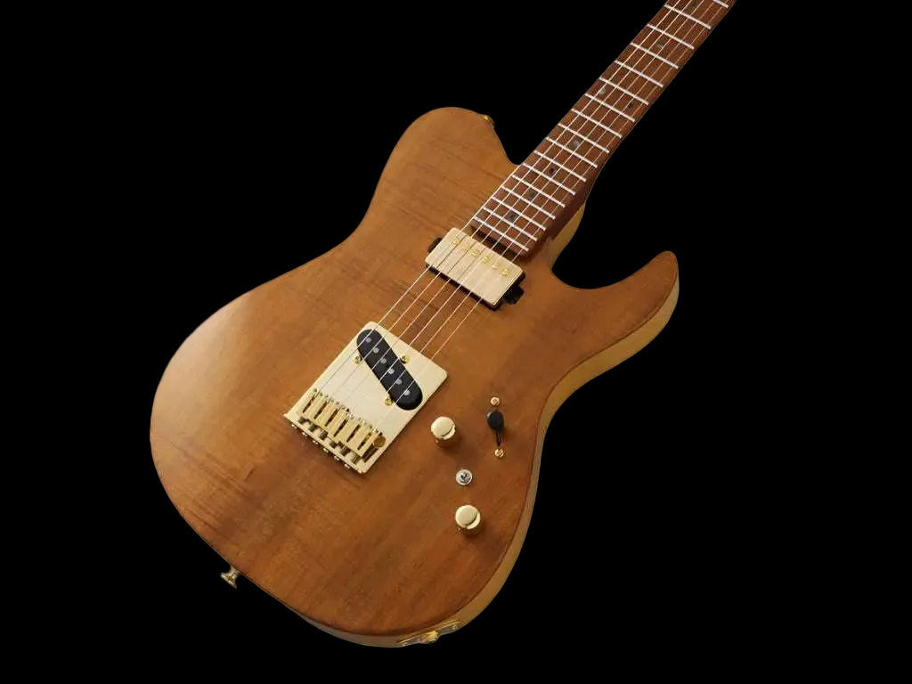 FGN Guitars Expert Iliad VNT Vintage Natural - Richards Guitars Of Stratford Upon Avon