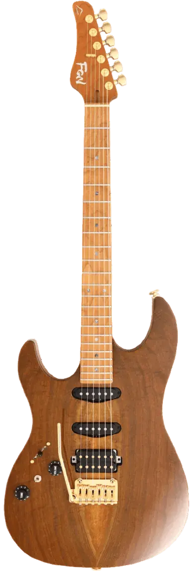 Buy FGN Expert Odyssey, Vintage Natural Left Handed Electric Guitar