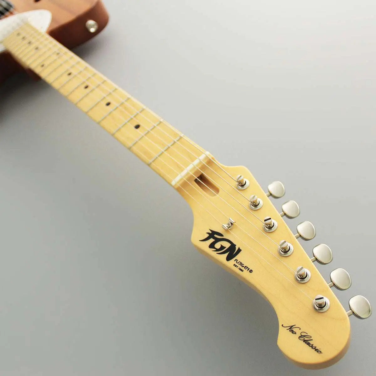 FGN Guitars Neoclassic TE 210R Ash HS 2 Tone Sunburst - Richards Guitars Of Stratford Upon Avon