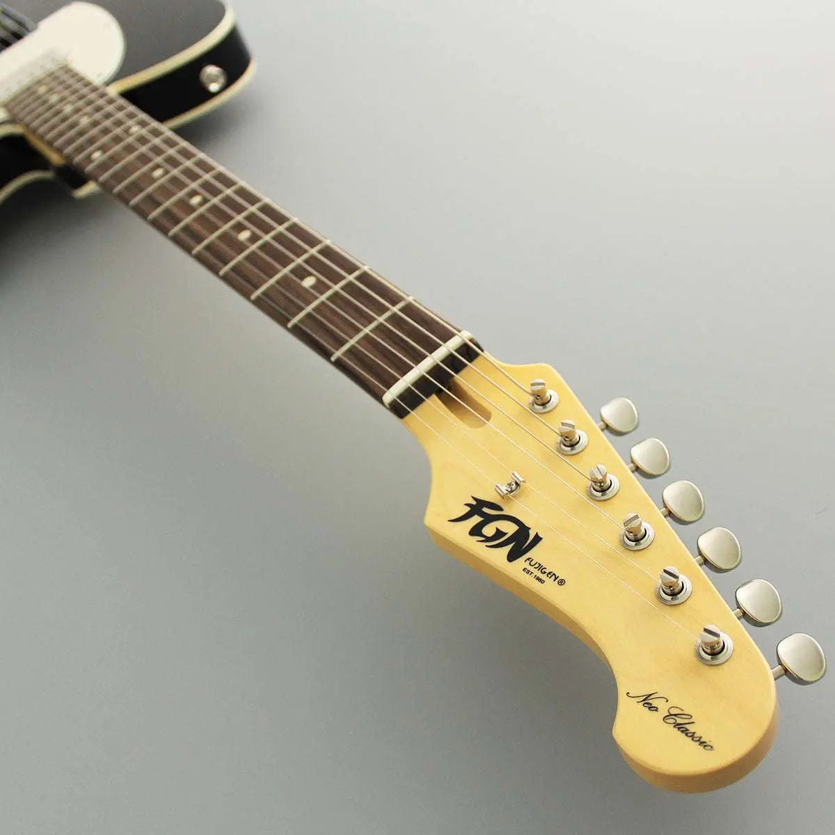 FGN Guitars Neoclassic TE 210R Ash HS Black - Richards Guitars Of Stratford Upon Avon