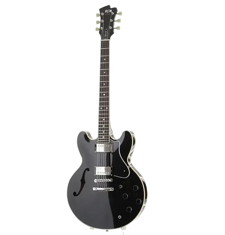 Buy FGN Masterfield, MSAHP Black Electric Guitar