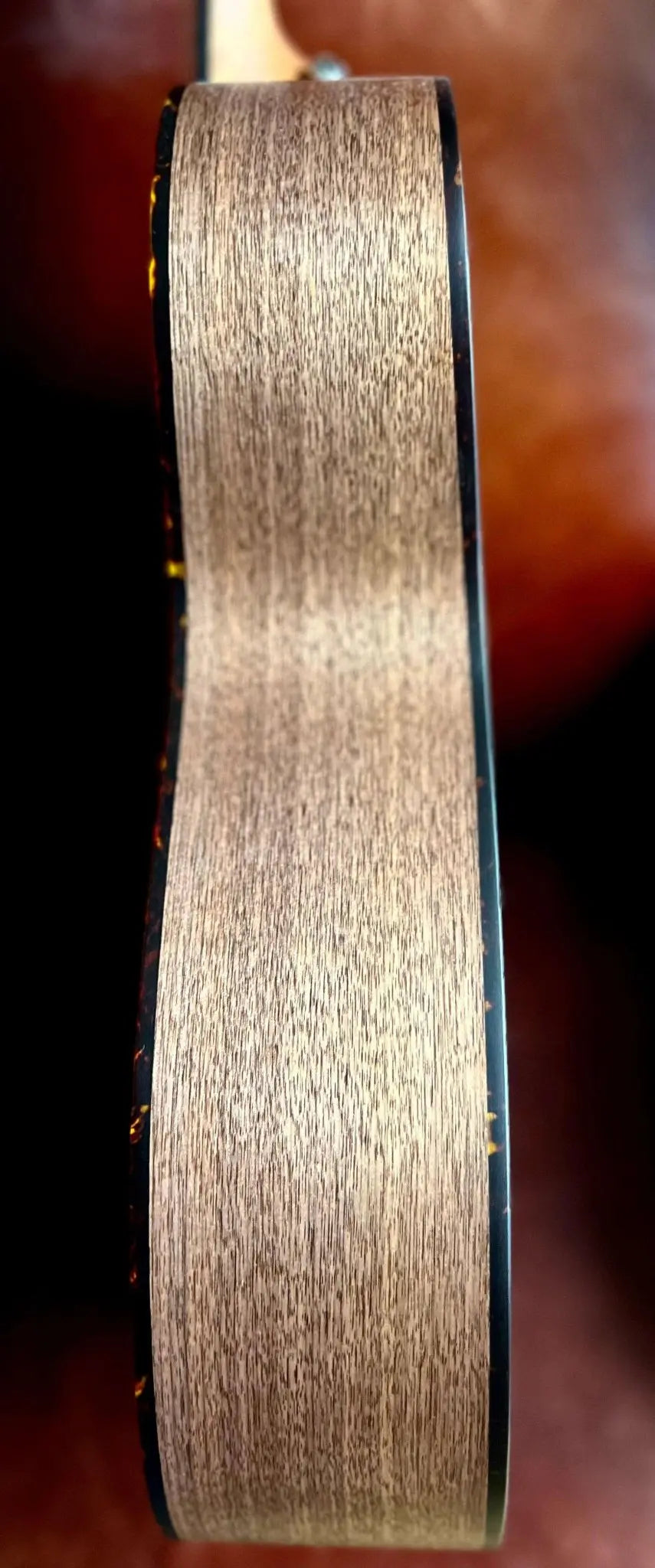 Furch Blue OM - SW Orchestra model Acoustic Guitar (2025 CNR Active Upgrade Model) - Richards Guitars Of Stratford Upon Avon