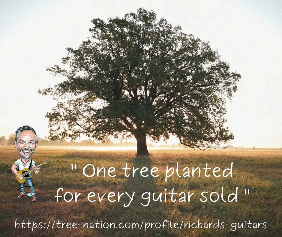 Furch Green Plus G SR C (Spruce / Rosewood / Cutaway) (2025 CNR Active Upgrade Model) - Richards Guitars Of Stratford Upon Avon