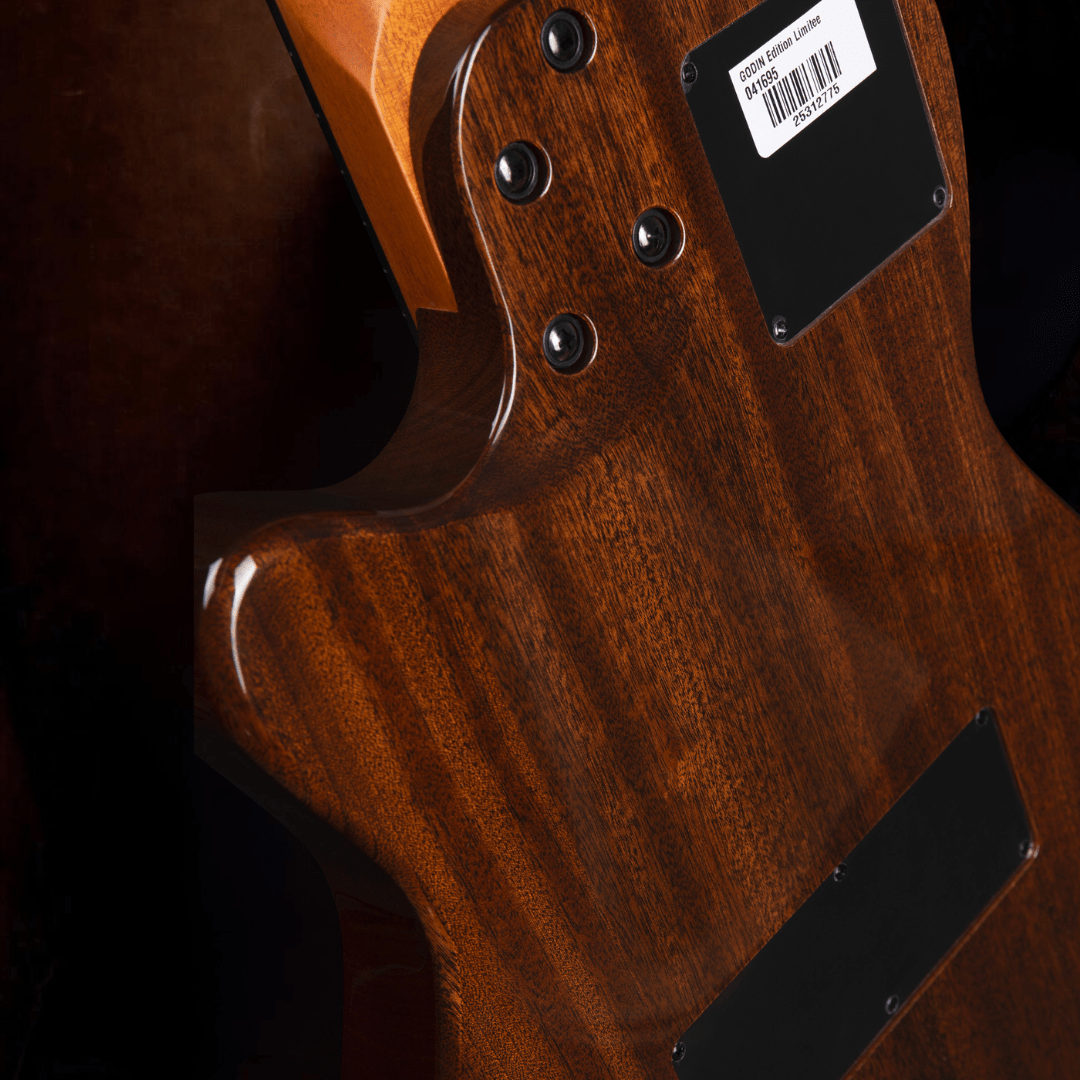 Godin A6 Ultra Deluxe - Richards Guitars Of Stratford Upon Avon