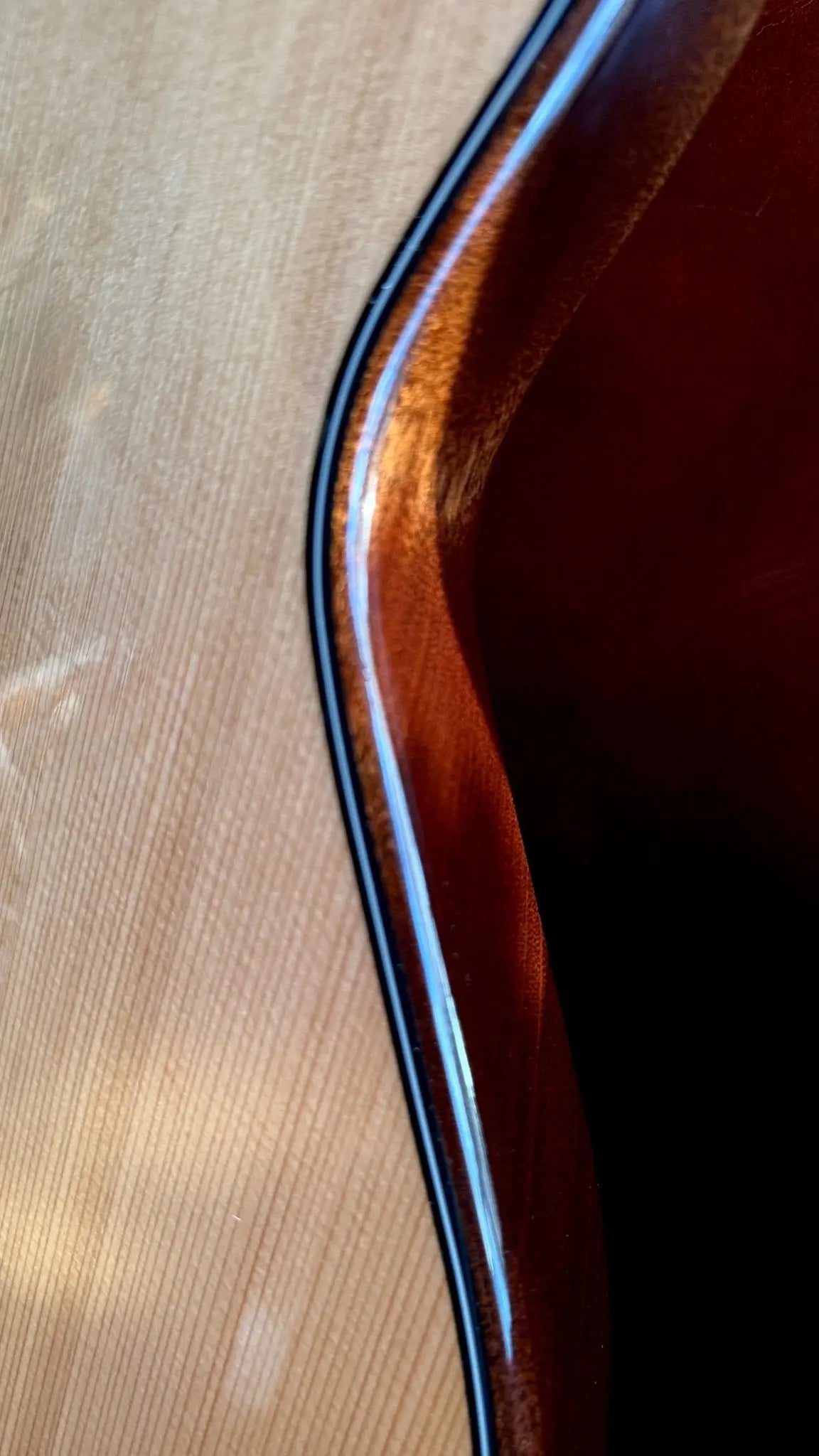 Buy Godin A6 Ultra Deluxe Electic / Electro Acoustic Hybrid Guitar