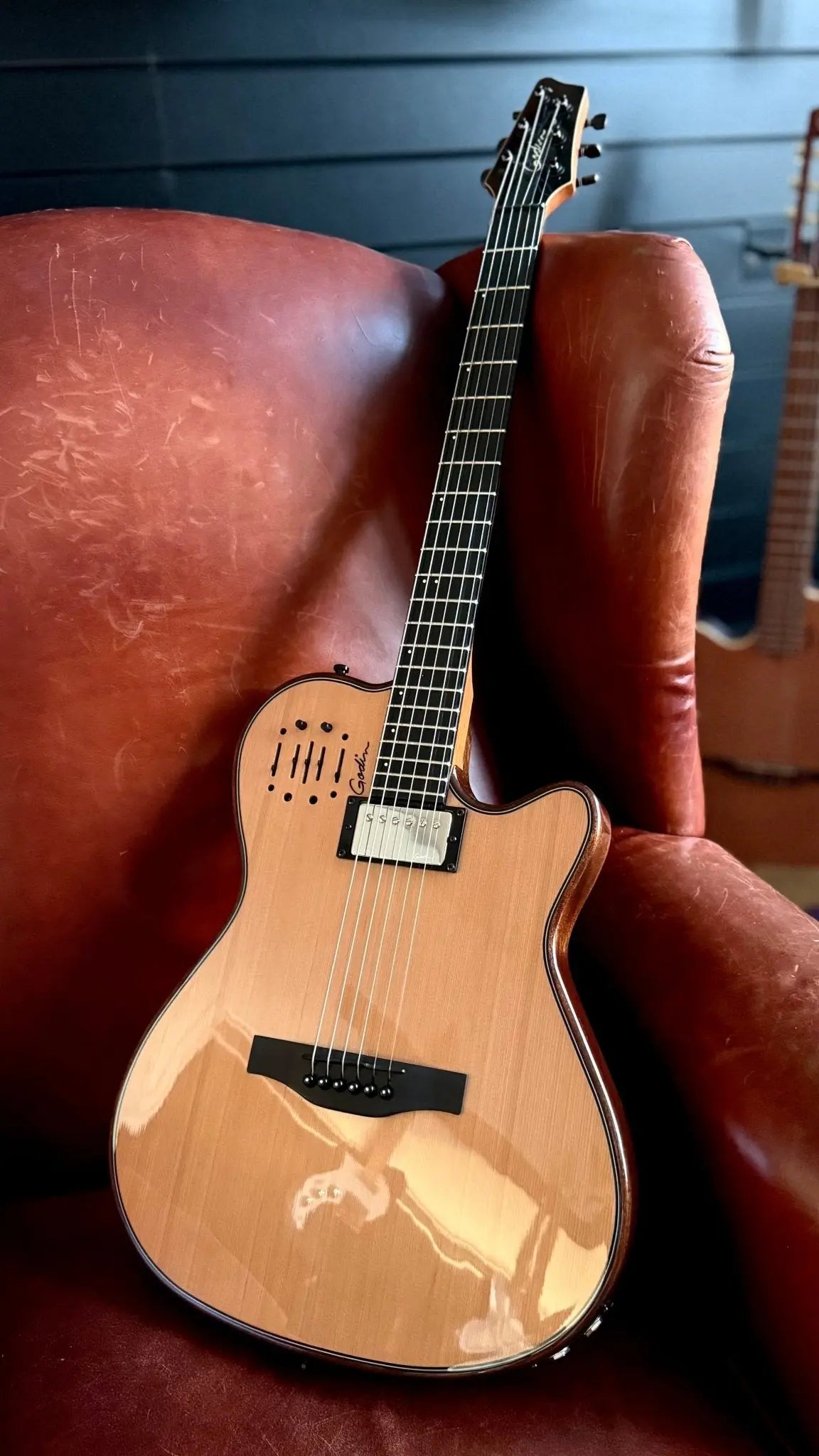 Buy Godin A6 Ultra Deluxe Electic / Electro Acoustic Hybrid Guitar
