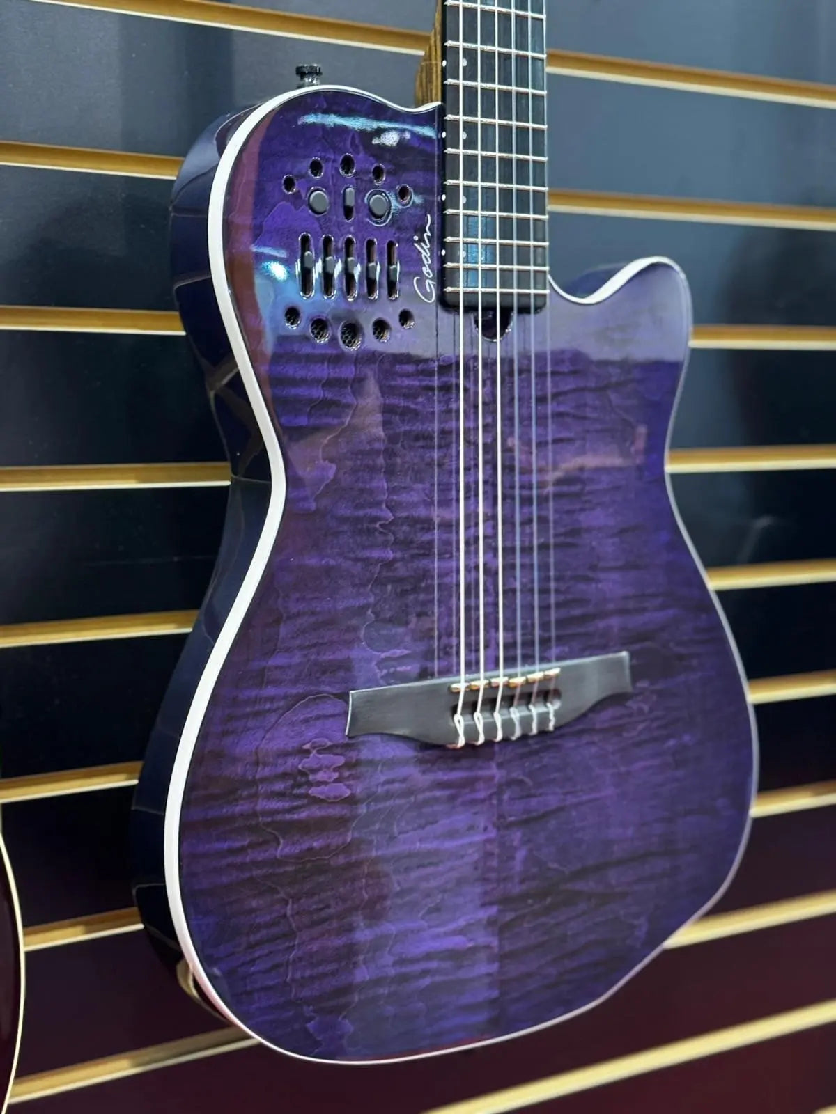 Buy Godin ACS Nylon Steve Stevens Signature 25th Anniversary (Arriving June 2026)