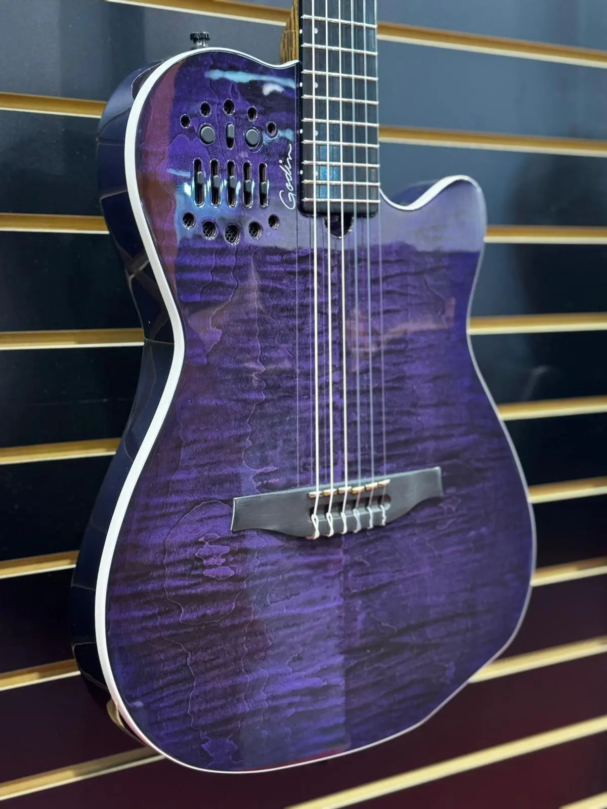 Buy Godin ACS Nylon Steve Stevens Signature 25th Anniversary (Arriving June 2026)