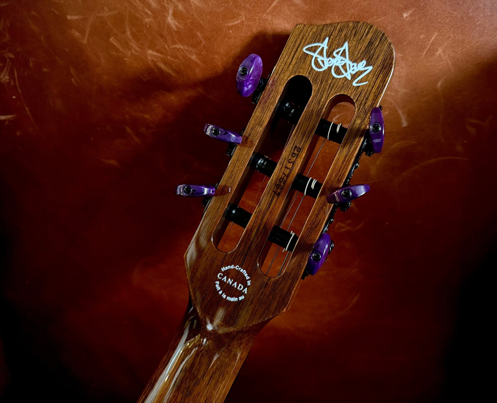 Godin ACS Nylon Steve Stevens Signature 25th Anniversary (Arriving June 2026) - Richards Guitars Of Stratford Upon Avon