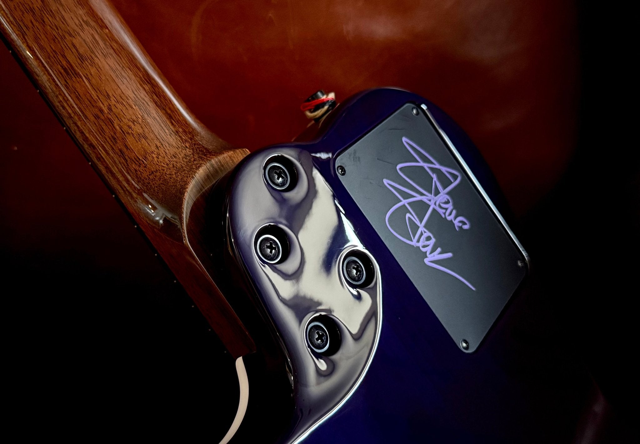 Godin ACS Nylon Steve Stevens Signature 25th Anniversary (Arriving June 2026) - Richards Guitars Of Stratford Upon Avon