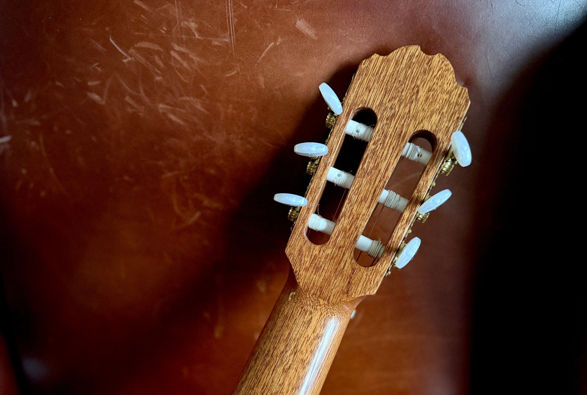 Kremona F65C Solid Red Cedar, Indian Rosewood Veneer Nylon Strung Guitar - Richards Guitars Of Stratford Upon Avon