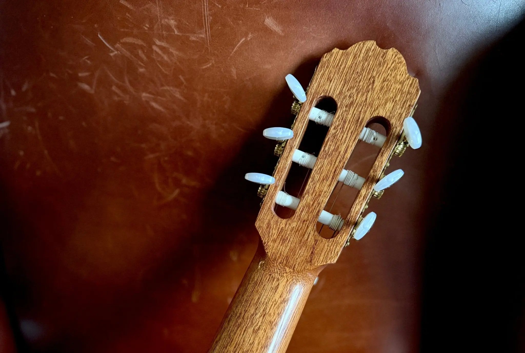 Buy Kremona Fiesta F65C-T Solid Red Cedar, Indian Rosewood Veneer Nylon Strung Guitar