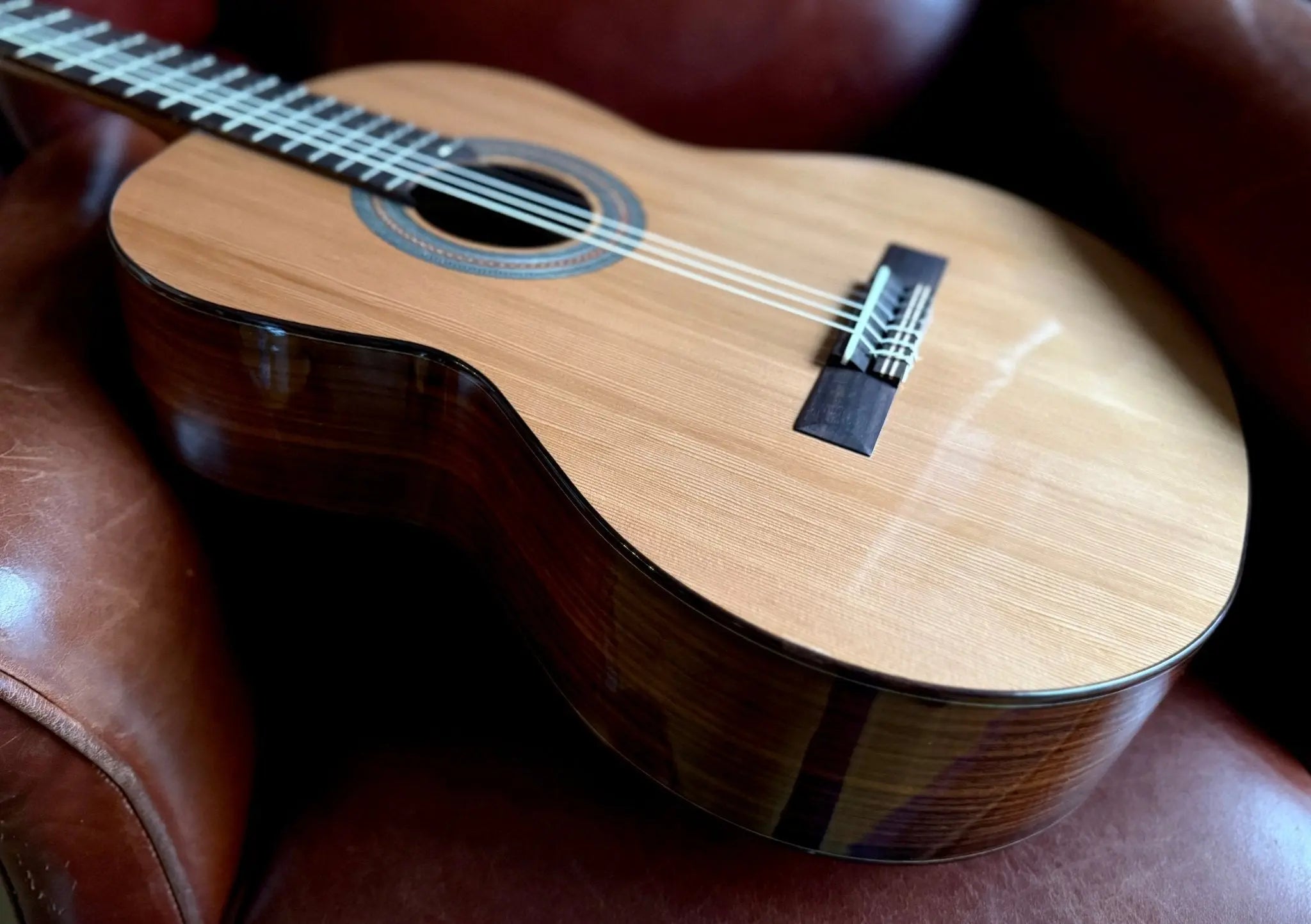 Buy Kremona Fiesta F65C-T Solid Red Cedar, Indian Rosewood Veneer Nylon Strung Guitar