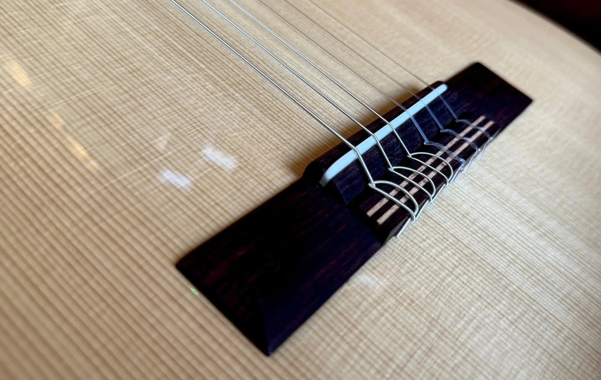 Buy Kremona F65CWS, Solid Spruce, Indian Rosewood Back & Sides, Hand Made Electro Nylon Strung Guitar