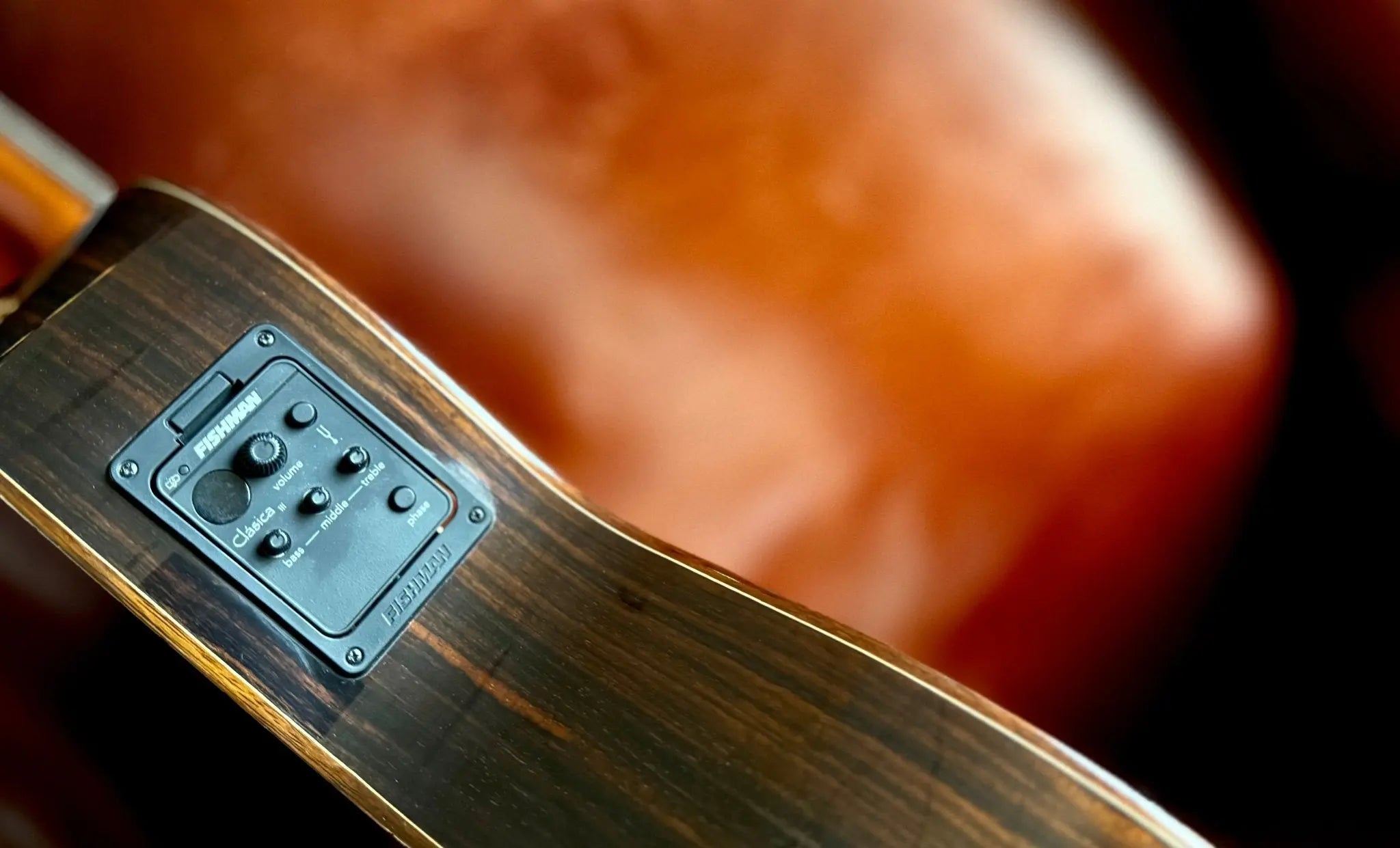 Buy Kremona F65CWS, Solid Spruce, Indian Rosewood Back & Sides, Hand Made Electro Nylon Strung Guitar