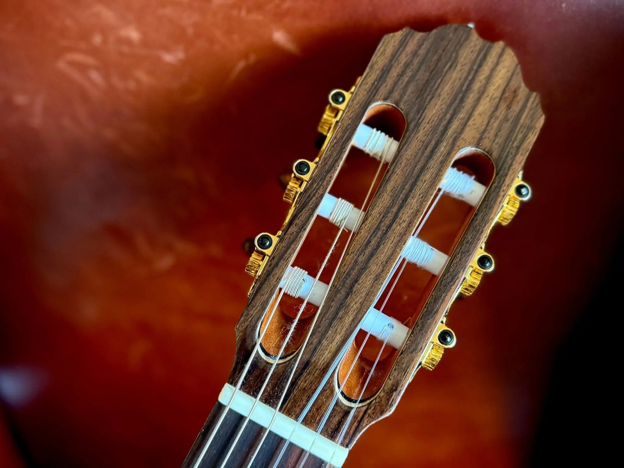 Buy Kremona F65CWS, Solid Spruce, Indian Rosewood Back & Sides, Hand Made Electro Nylon Strung Guitar