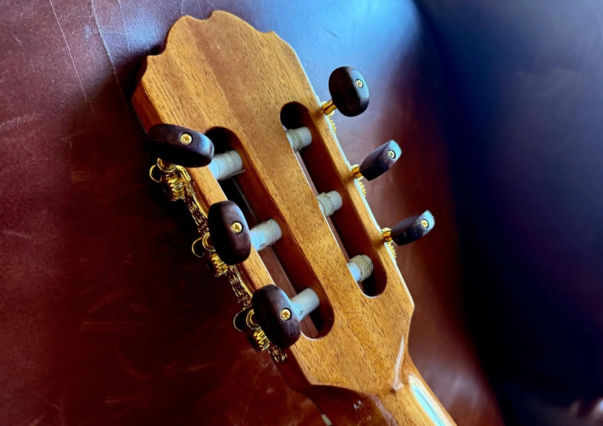 Buy Kremona F65CWS, Solid Spruce, Indian Rosewood Back & Sides, Hand Made Electro Nylon Strung Guitar