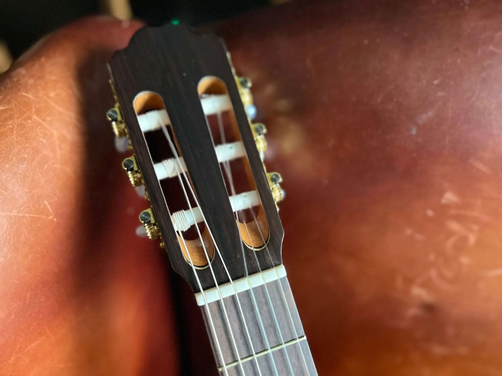 Kremona F65S, Solid Spruce, Indian Rosewood Veneer Hand Made Nylon Strung Guitar - Richards Guitars Of Stratford Upon Avon