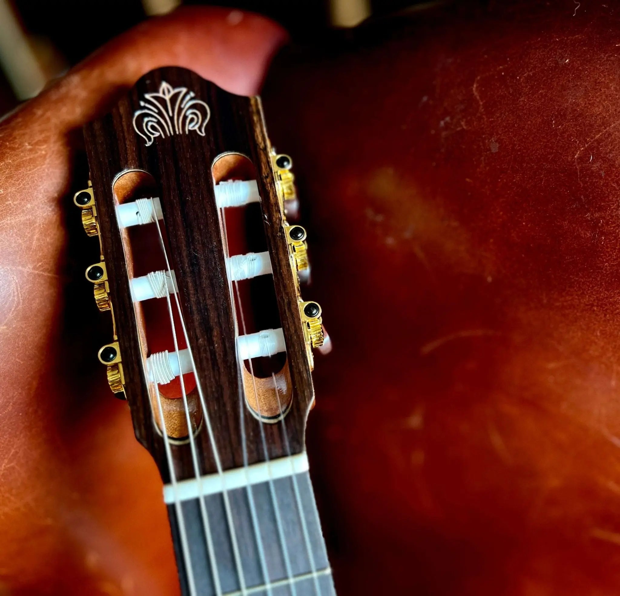 Kremona FIESTA FC, Solid Red Cedar, Solid Indian Rosewood - Richards Guitars Of Stratford Upon Avon