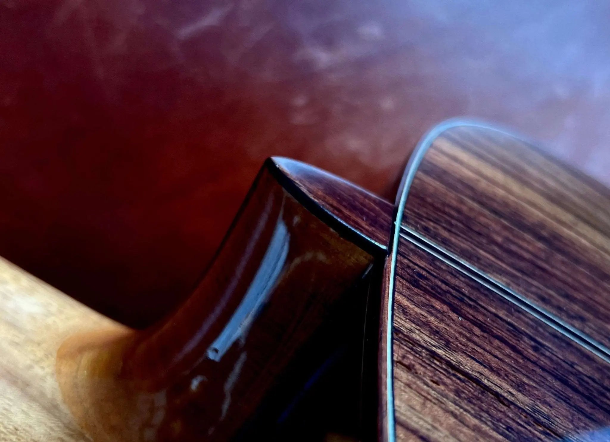 Kremona ROMIDA RD S All Solid Classic Guitar, Solid Spruce, Solid Indian Rosewood - Richards Guitars Of Stratford Upon Avon