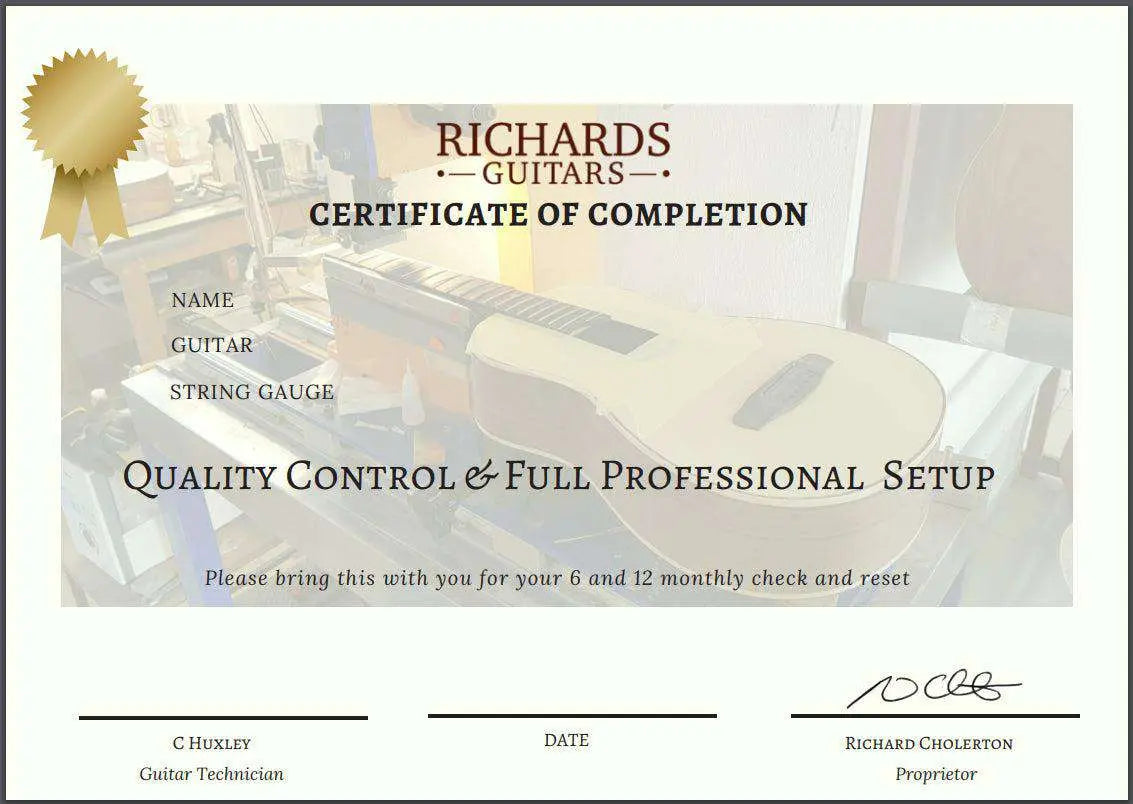 LAG T88A AUDITORIUM Acoustic Guitar (Gloss) - Richards Guitars Of Stratford Upon Avon