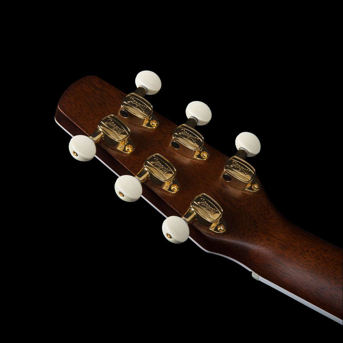 Seagull Artist Mosaic Anthem Electro-Acoustic Guitar ~ Natural with Bag,  for sale at Richards Guitars.