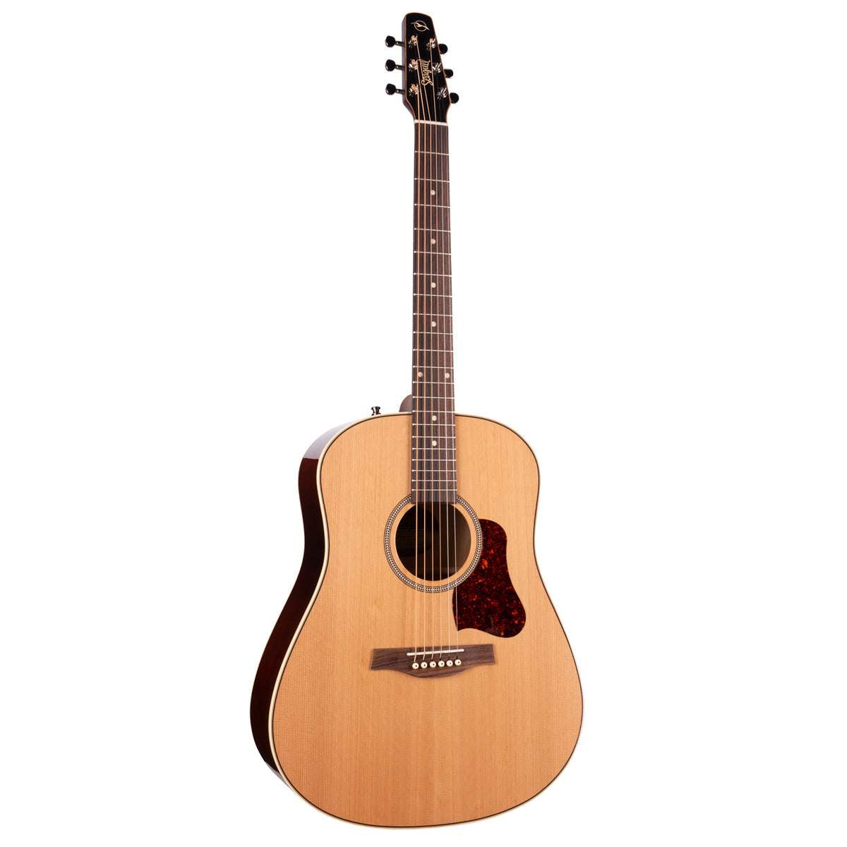 Seagull Coastline Momentum Electro-Acoustic Guitar ~ HG, for sale at Richards Guitars.