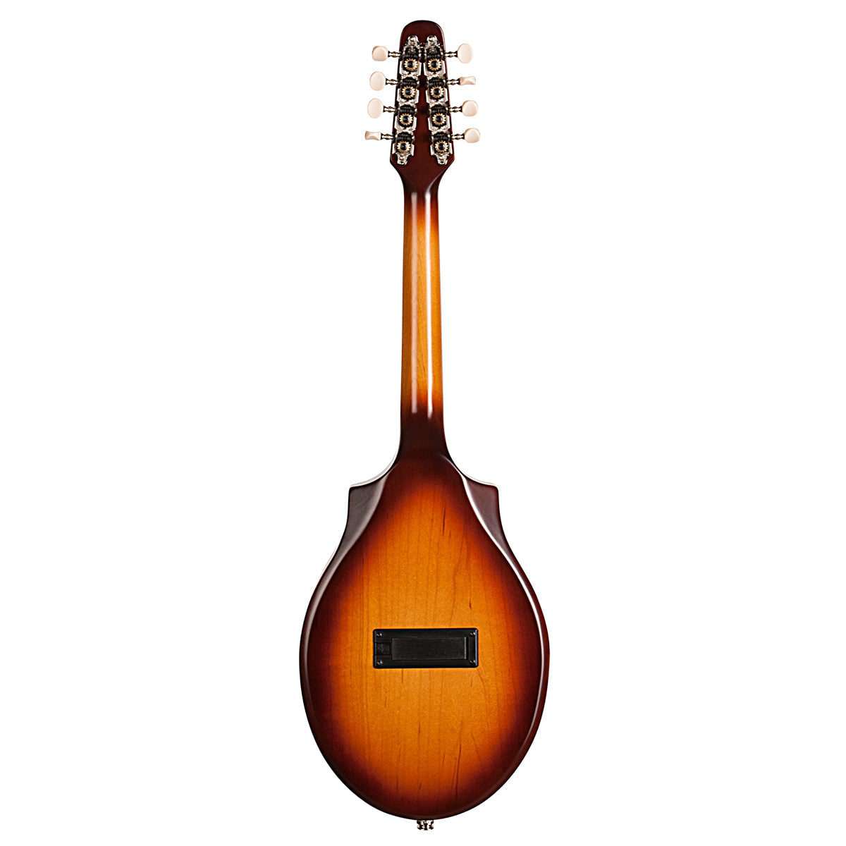 Seagull S8 Electro Mandolin ~ Sunburst EQ, for sale at Richards Guitars.