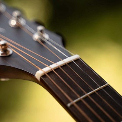 Cort Core GA Blackwood All Solid Wood Electro Acoustic Guitar, Electro Acoustic Guitar for sale at Richards Guitars.