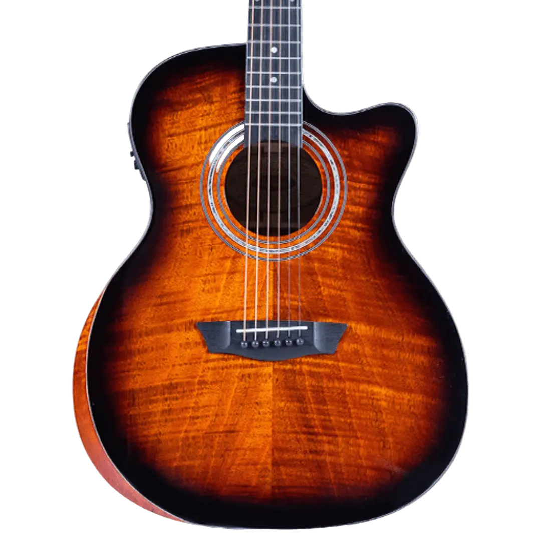 Buy Washburm Comfort WCG12FCE Electro Acoustic Guitar w' £225 Custom Pro Setup Package Included
