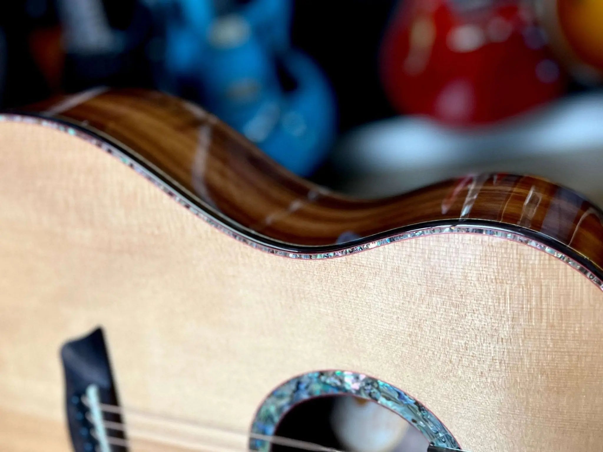 Washburn Bella Tono ELEGANTE S24S - Natural Acoustic Guitar - Richards Guitars Of Stratford Upon Avon