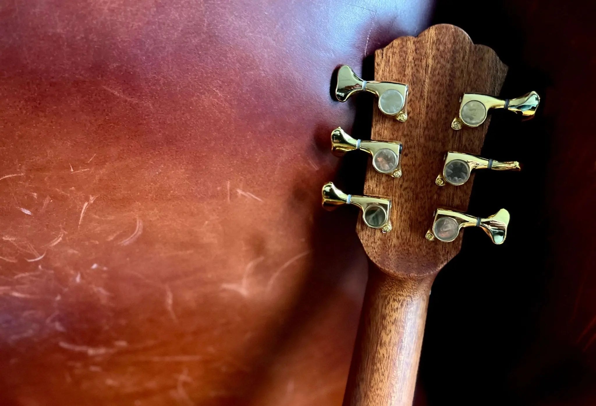 Washburn Bella Tono ELEGANTE S24S - Natural Acoustic Guitar - Richards Guitars Of Stratford Upon Avon