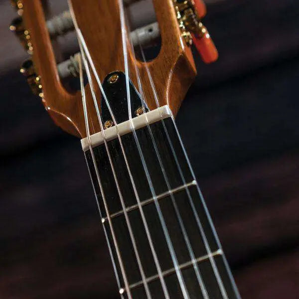 Washburn EACT42S - Thinline - Natural Electro Acoustic Guitar - Richards Guitars Of Stratford Upon Avon