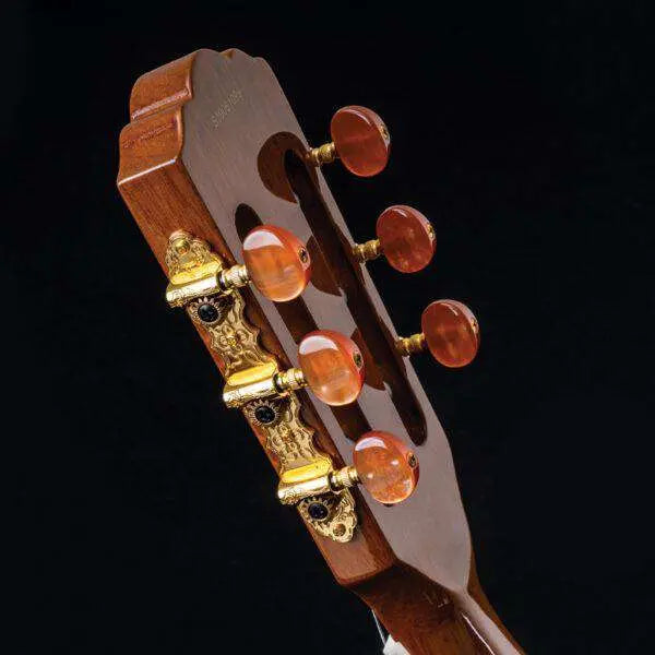 Washburn EACT42S - Thinline - Natural Electro Acoustic Guitar - Richards Guitars Of Stratford Upon Avon