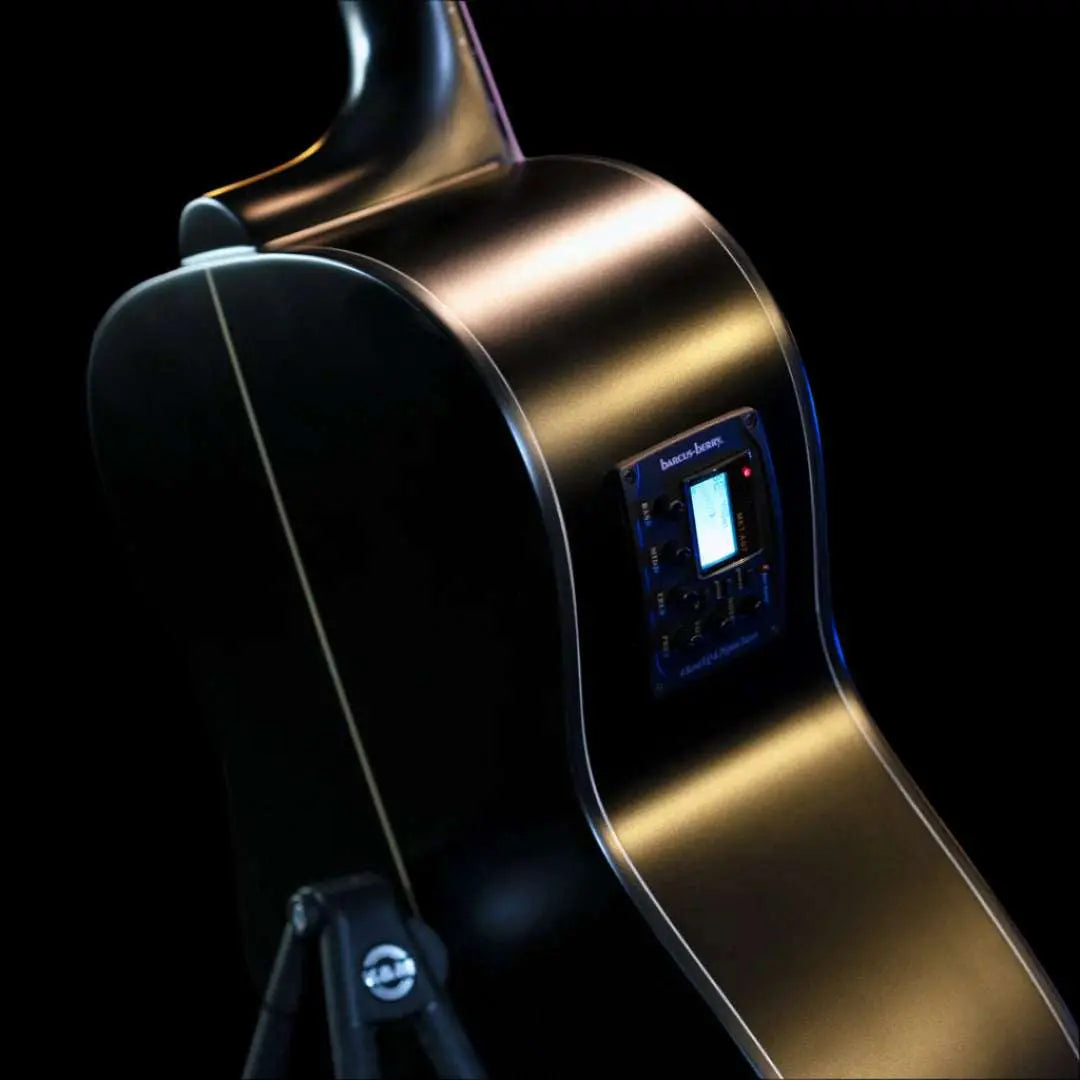 Washburn EBONY FE - Folk - Natural Matte Electro Acoustic Guitar - Richards Guitars Of Stratford Upon Avon