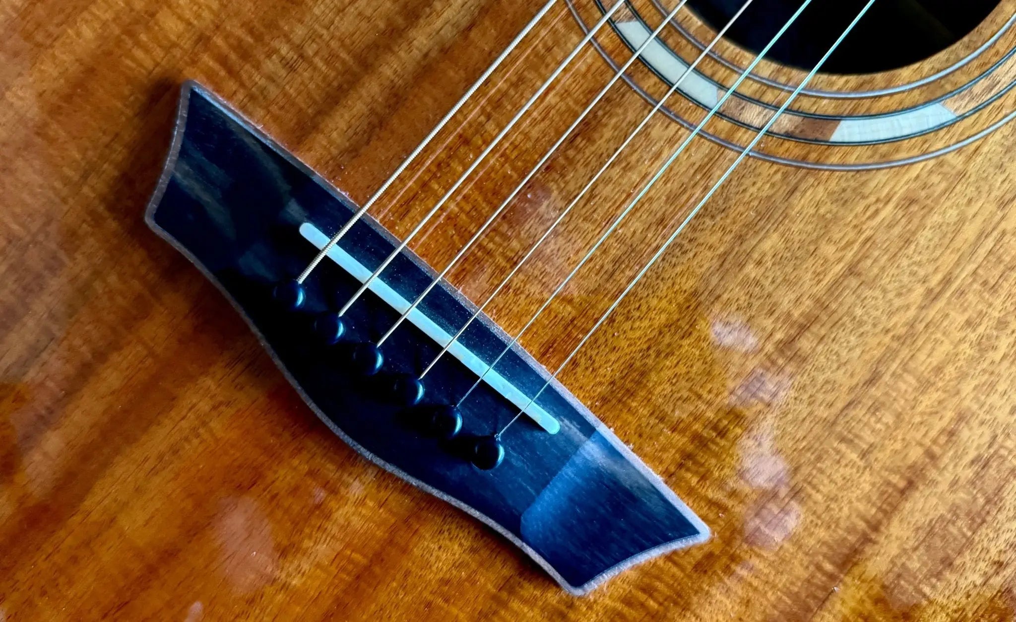 Buy Washburn G55CE KOA w/ CASE - Grand Auditorium - Natural Electro Acoustic Guitar