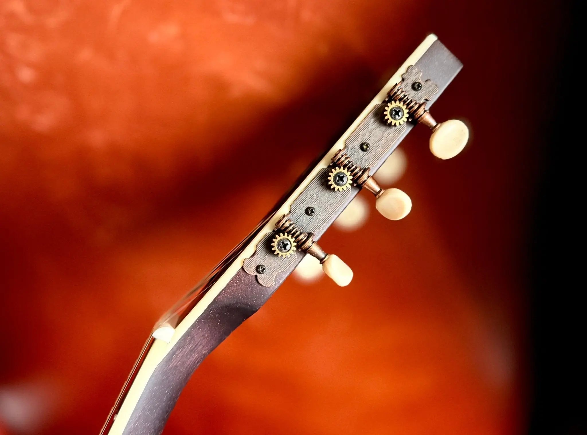 Buy Washburn R310 Victorian Parlor Guitar. Gorgeous, Authentic & Wonderful!