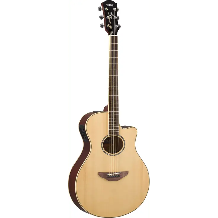 Buy Yamaha APX600 Electro Acoustic Guitar Inc. Custom Pro Setup & Support Package