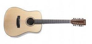 Auden Artist Colton Rosewood 12 String., Electro Acoustic Guitar for sale at Richards Guitars.