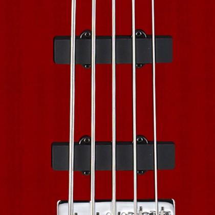Cort Action Bass V Plus Black, Bass Guitar for sale at Richards Guitars.