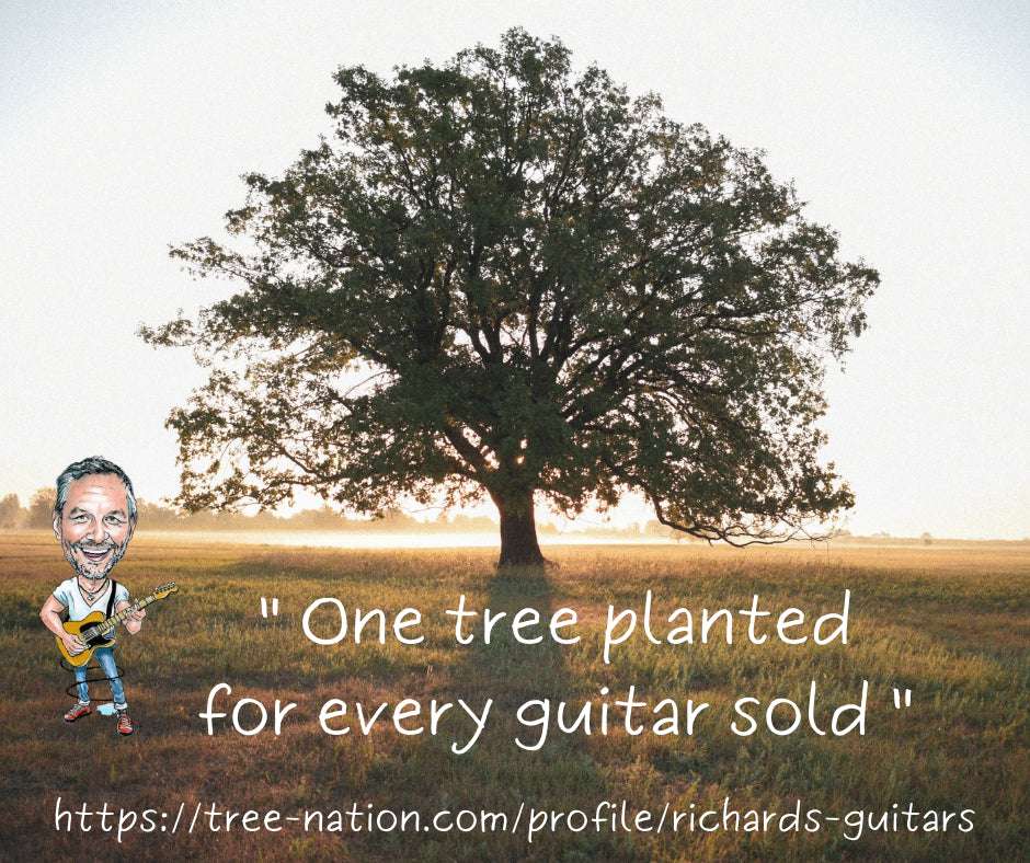 Test Dividbuy, for sale at Richards Guitars.