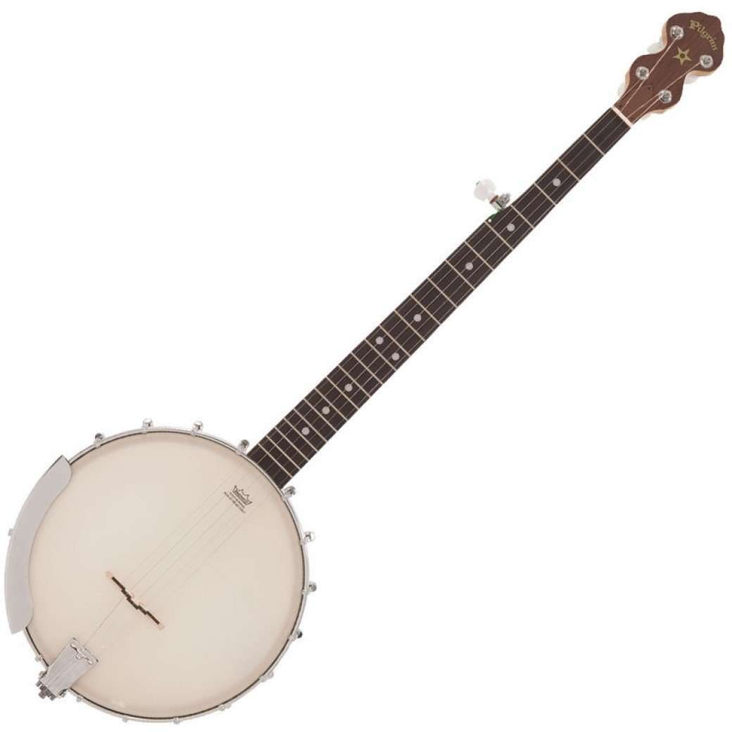 Open back deals banjo for sale